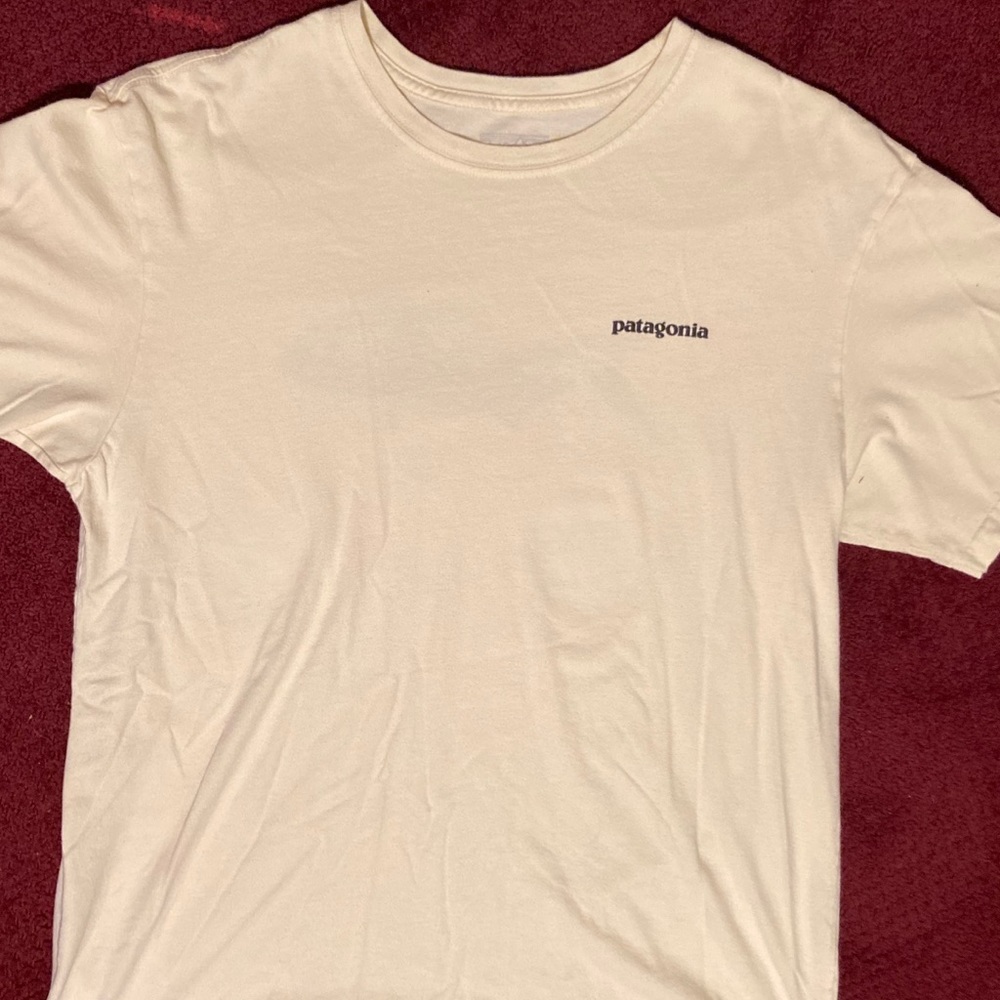 Patagonia - Men’s Tee w/ Fitz Roy Fish - Large